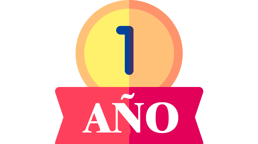 1 YEAR