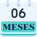 6 meses