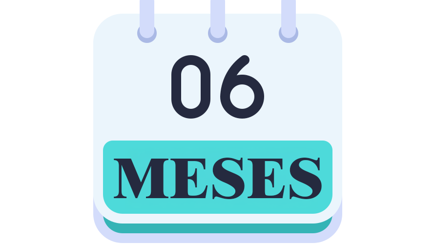 6 meses